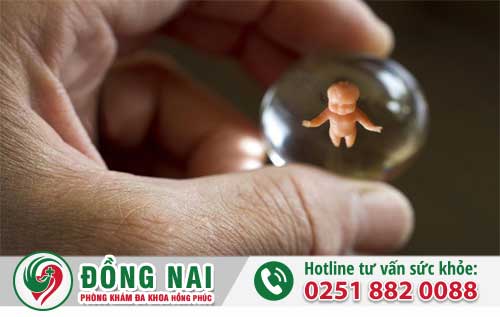 Phá Thai 3 Tuần Tuổi Không Ảnh Hưởng Đến Sinh Sản 