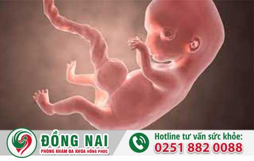 Phá Thai 9 Tuần An Toàn Không Gây Nguy Hiểm Sinh Sản,Tư Vấn Phá Thai Miễn Phí
