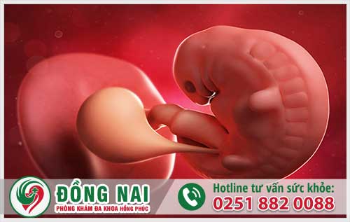 Phá thai hai tháng bằng phương pháp nào hiệu quả an toàn?
