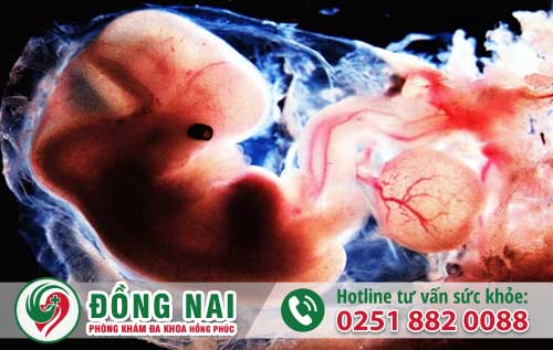 Thai 4 tháng phải thế nào sẽ không gây vô sinh?
