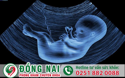 Thắc mắc tuổi thai từ 1 đến 5 tuần có thể đình chỉ được không?