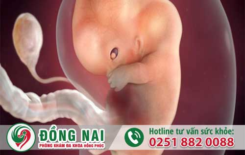 Thai 4 tháng kiểm tra và tư vấn miễn phí ở phòng khám đa khoa hồng phúc
